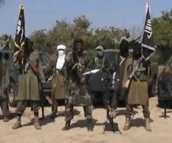 Ashaka Cement Loses $230million To Boko Haram Attacks